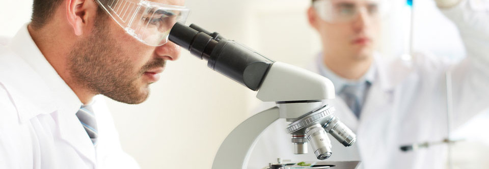 Chondroitin – Droi-Kon ® Spec Sheets