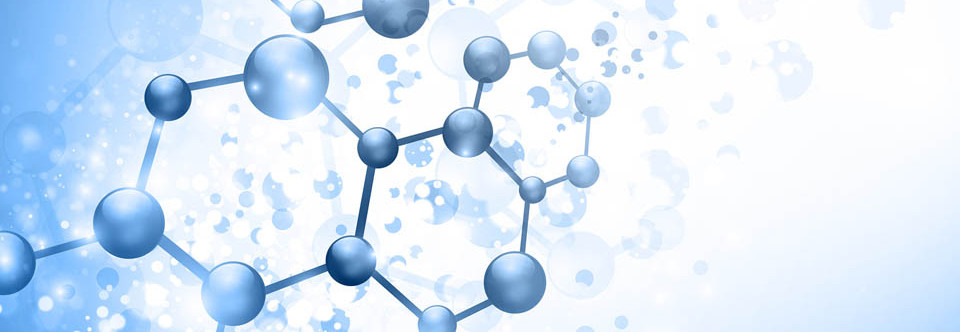 Bulk Chondroitin